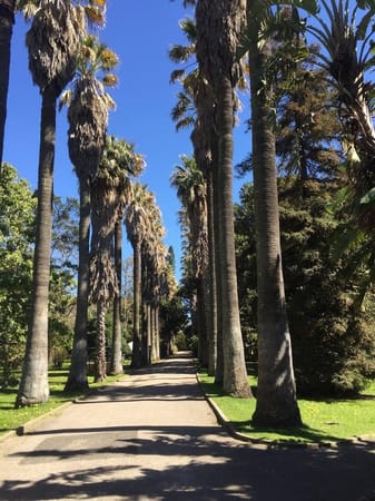 The perfect day in Belém: photo 3