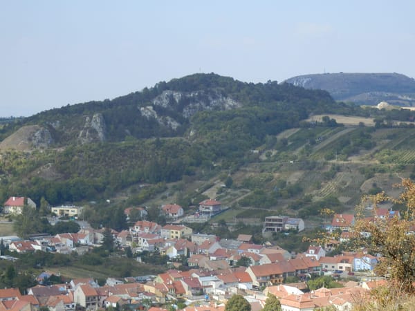 Mikulov: A Small Vineyard Paradise: photo 1