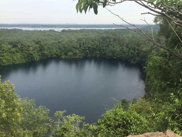 Singapore: Get Closer to Nature: photo 10