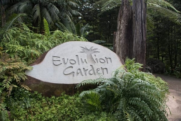 Singapore: Get Closer to Nature: photo 20