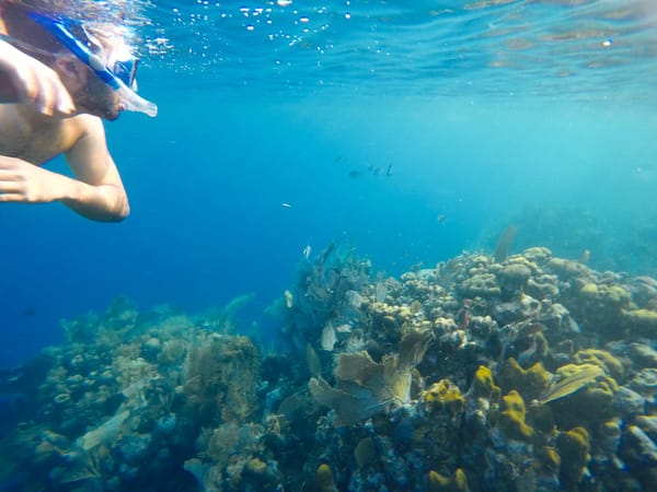Utila, Honduras: A heavenly place in the Caribbean: photo 4