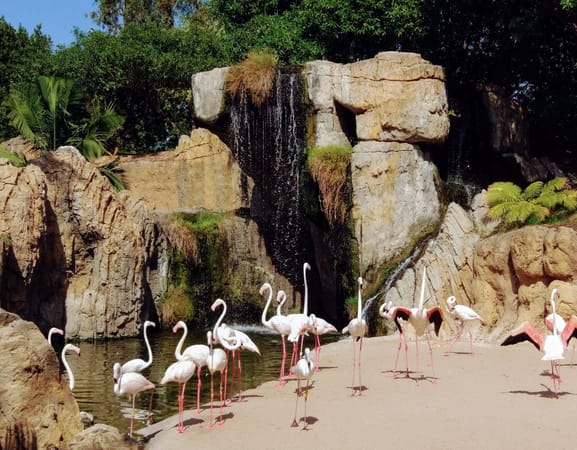 Top 5 must-see places in Valencia, Spain: photo 6
