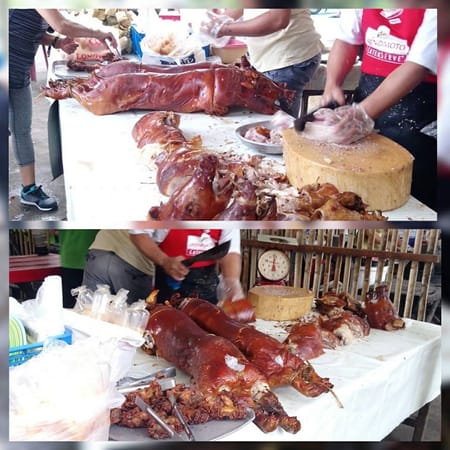 The Best Ways To Spend Your Cebu Trip: photo 1