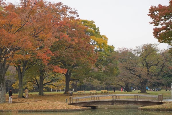 3 Days in Tokyo, Japan: A Travel Blog: photo 19
