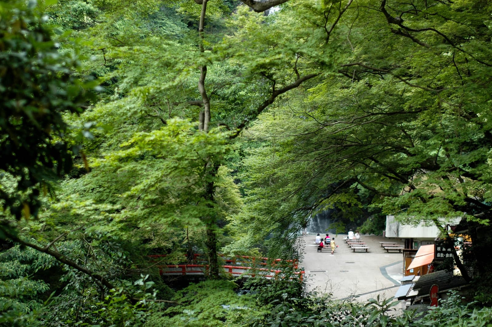 Hidden Waterfalls in Osaka and Mie