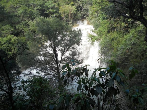 Stunning natural places to practice ecotourism in Chiapas: photo 7