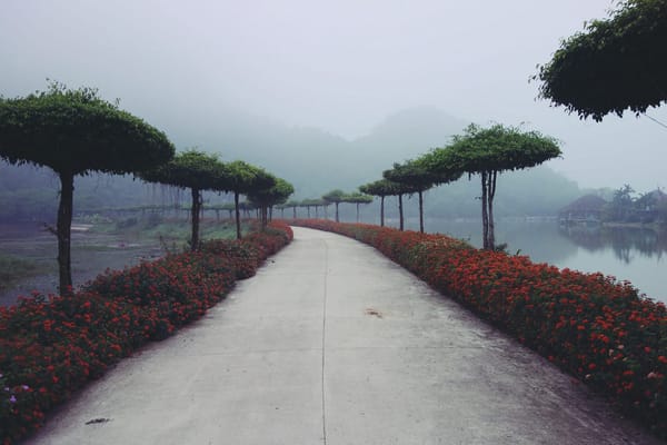 Roadtrip through Vietnam by Motorbike: photo 26