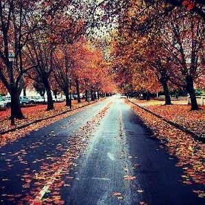 Explore Stellenbosch with insight of locals and deeper meaning.: photo 2