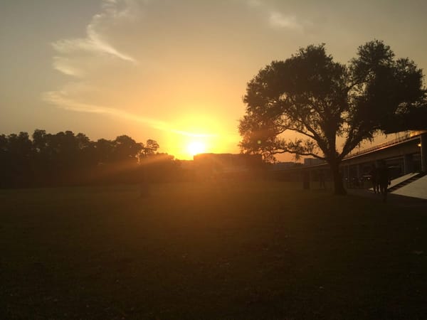 Singapore: Get Closer to Nature: photo 35