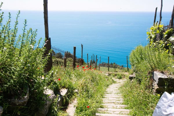Tramonti di Campiglia - Off the beaten tracks of Cinque Terre: photo 4