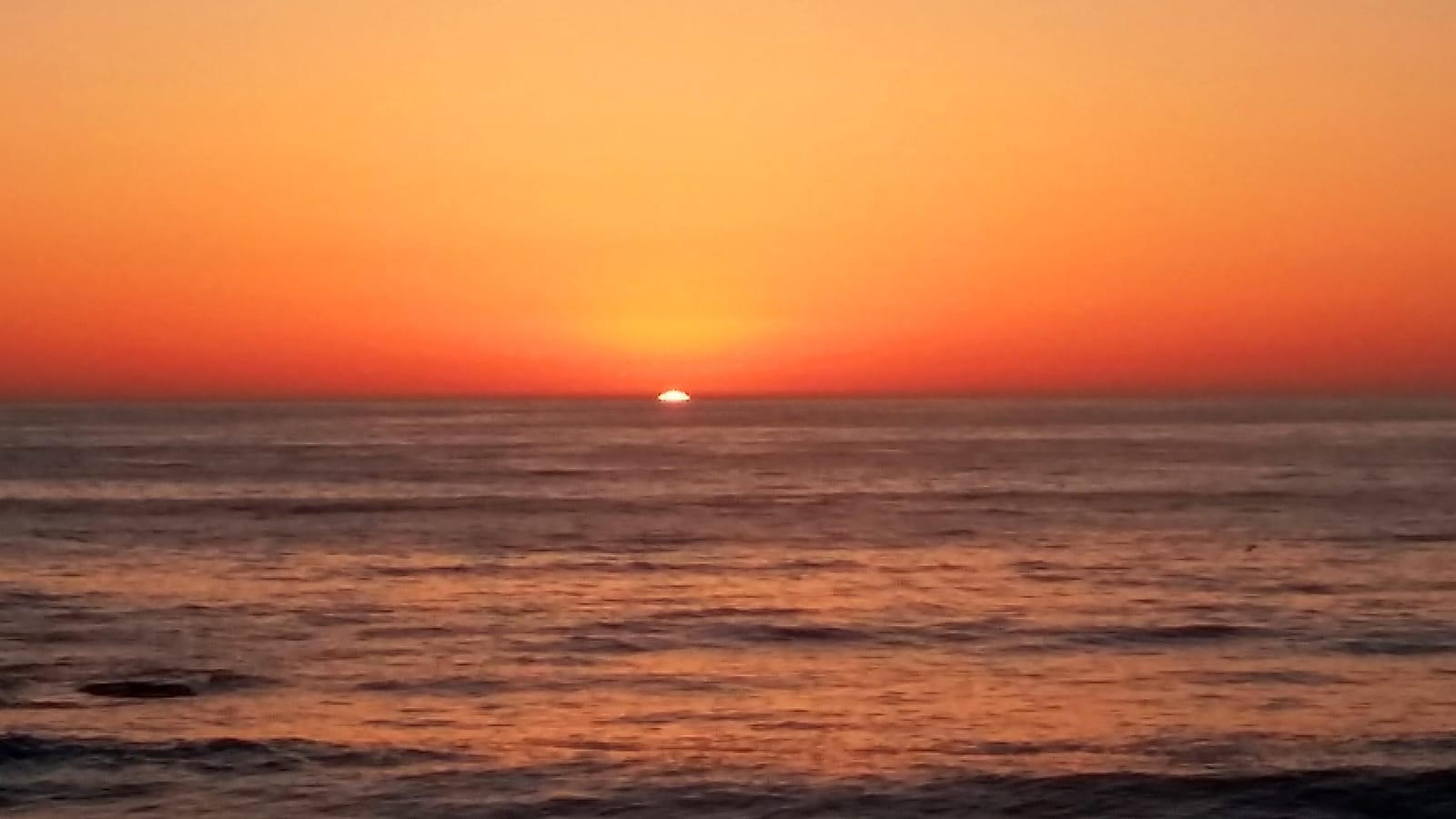 La Jolla: Relaxation Rejuvenation and Fun in the Sun