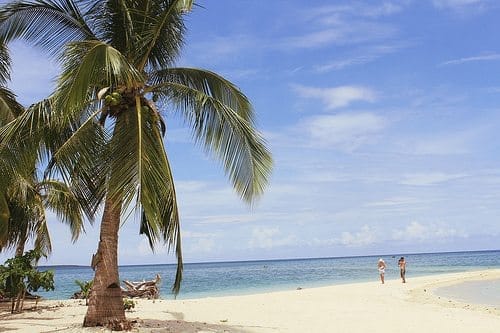 A Week In Tropical Paradise: Dos Palmas Island, Palawan: photo 20