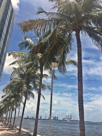 Miami Vice: One of the best cities!: photo 14