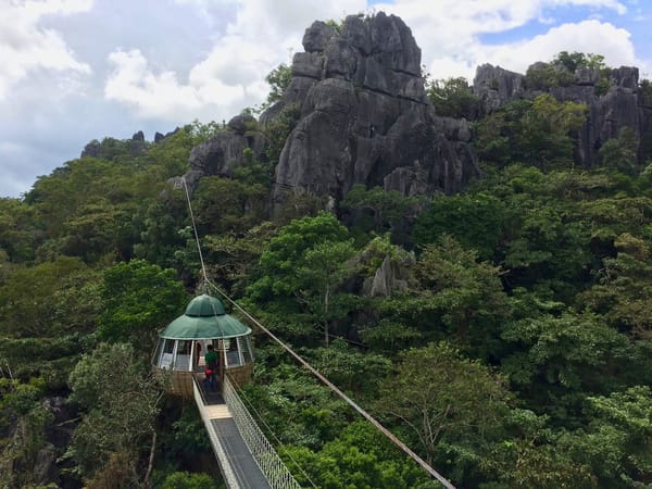 A Thrilling Treetop Adventure in Masungi Georeserve: photo 15