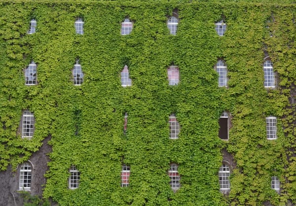 Cambridge: A city to fall in love with: photo 11