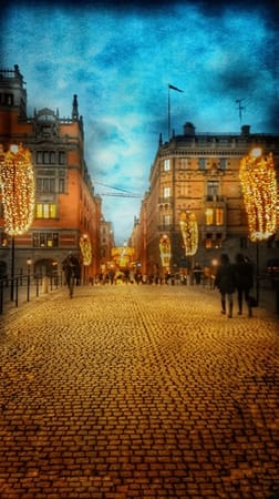A Turkish Girl Lands in Sweden: photo 3