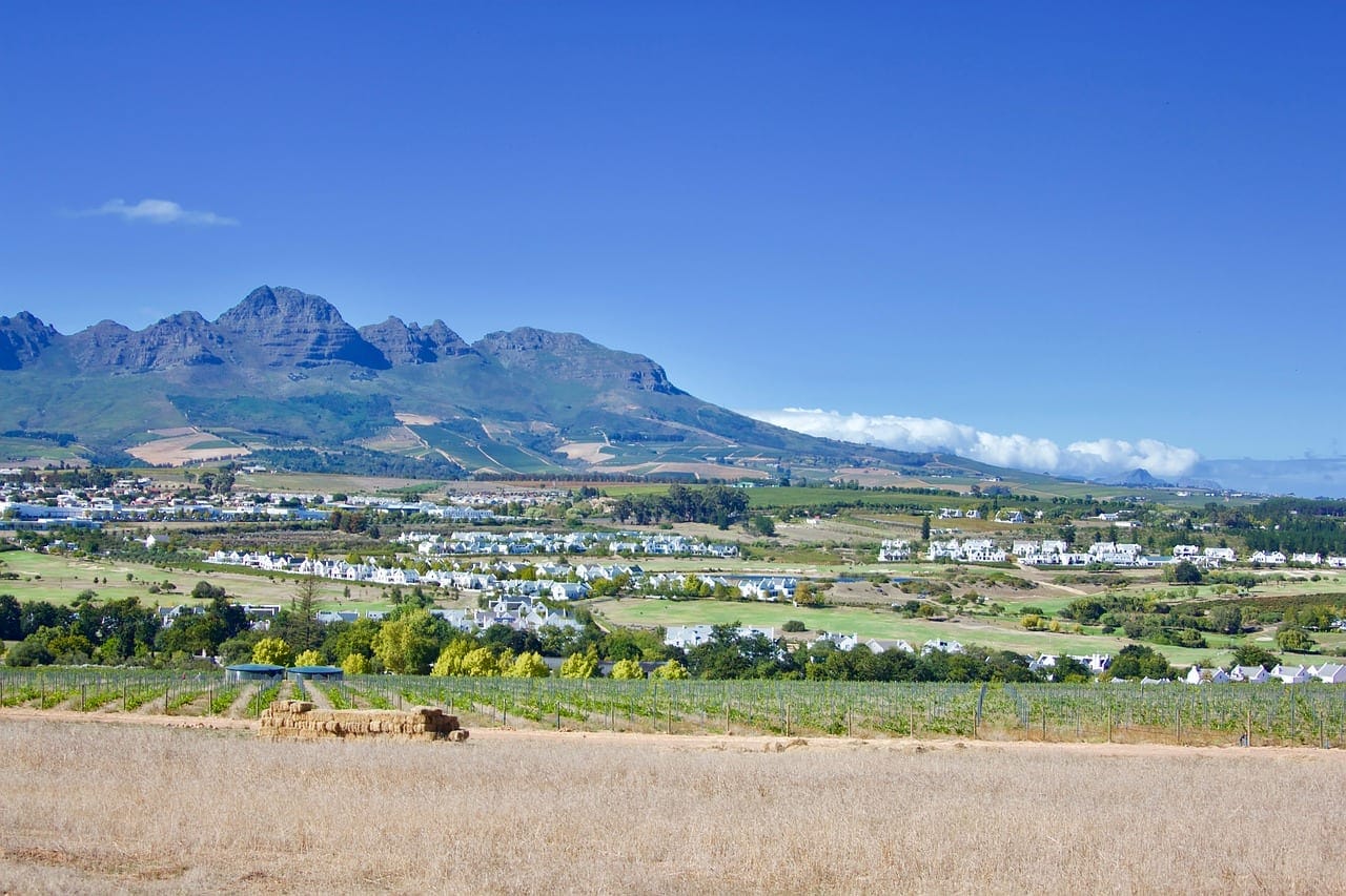 Stellenbosch, South Africa: What to do, where to eat and more