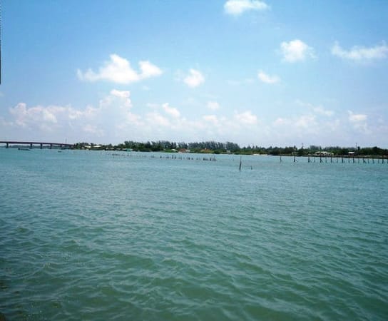 Tamiahua: The Mexican Capital of Seafood.: photo 7