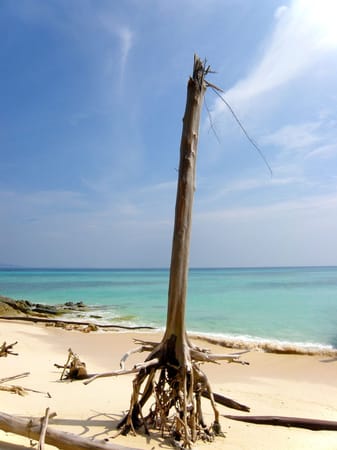 Ko Phi Phi: Adventures on Thailand's Most Spectacular Island: photo 12