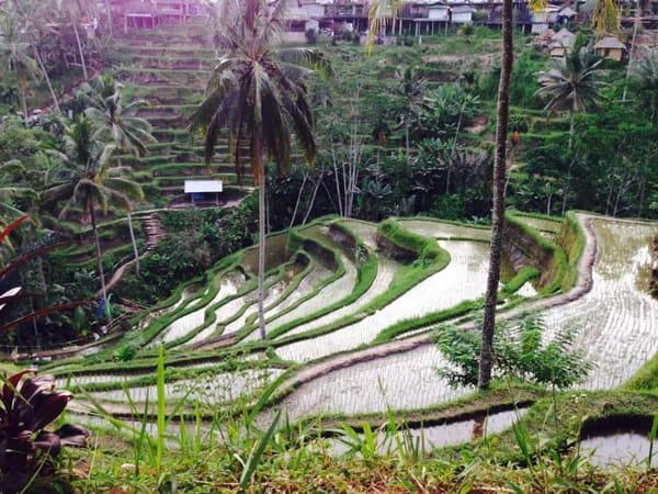 MUST DO Things When Backpacking around BALI: photo 3