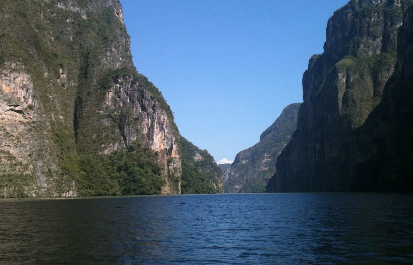 Stunning natural places to practice ecotourism in Chiapas