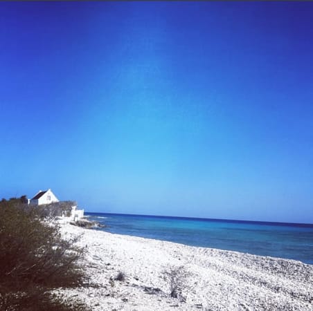 Bonaire: The B in the ABC of the Caribbean: photo 3