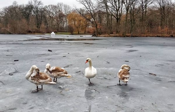 Berlin’s Best Spots for Photo Ops: photo 3