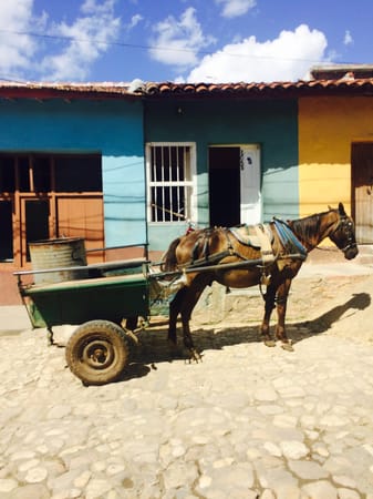 CUBA and the hunt for black market lobster: photo 9