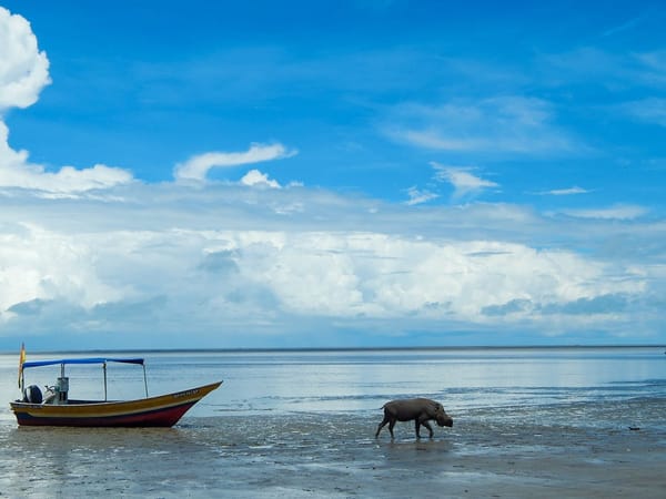 Things to Do Around Kuching in Sarawak: photo 6