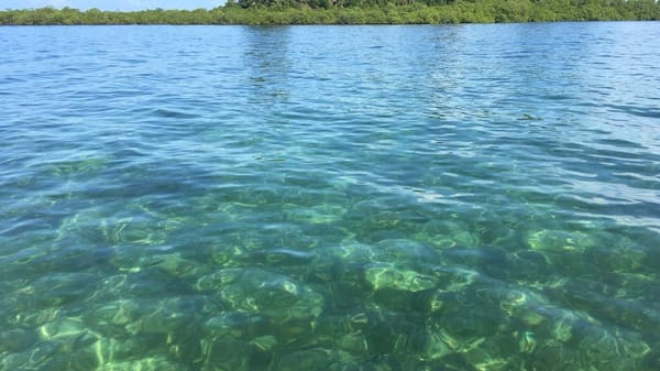 Bocas del Toro, Panamá. A great place to travel with friends: photo 3