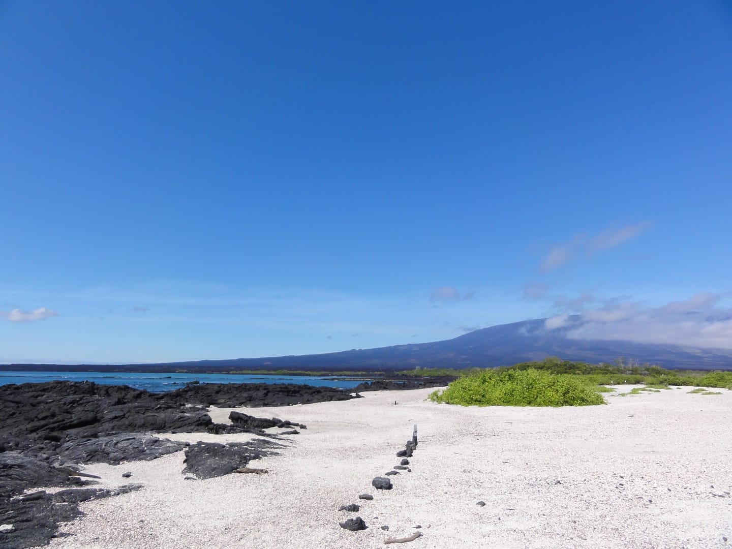 When in doubt, go to Ecuador: Galápagos