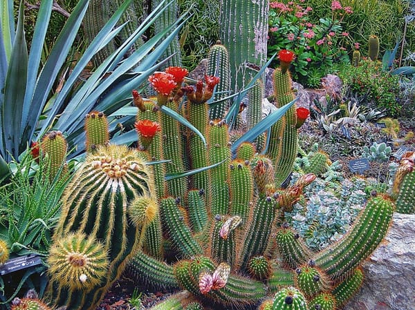 Fun Places To Visit In Austin, Texas: photo 2