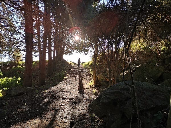 Golden Bay: Adventure playground for all: photo 31