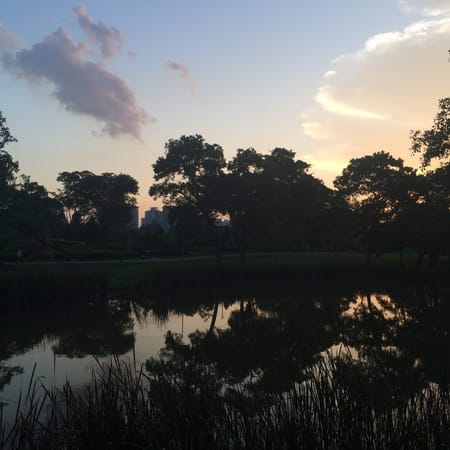 Singapore: Get Closer to Nature: photo 37