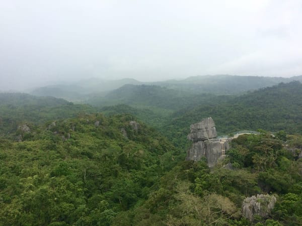 A Thrilling Treetop Adventure in Masungi Georeserve: photo 20