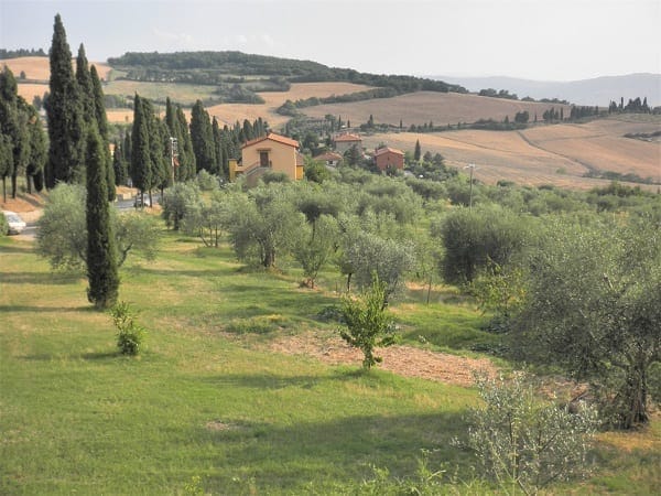 Around Monte Amiata: A touch of rural Tuscany: photo 19