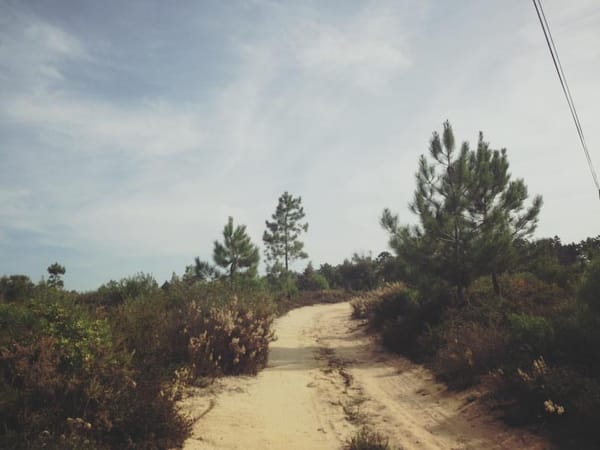 Portugal: The Untouched Coast of Alentejo: photo 1