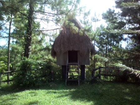Paradise Ranch: Conservation Park in Clark Pampanga, Philippines: photo 23