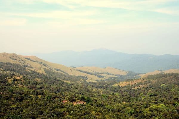 COORG – The Scotland of India!: photo 9