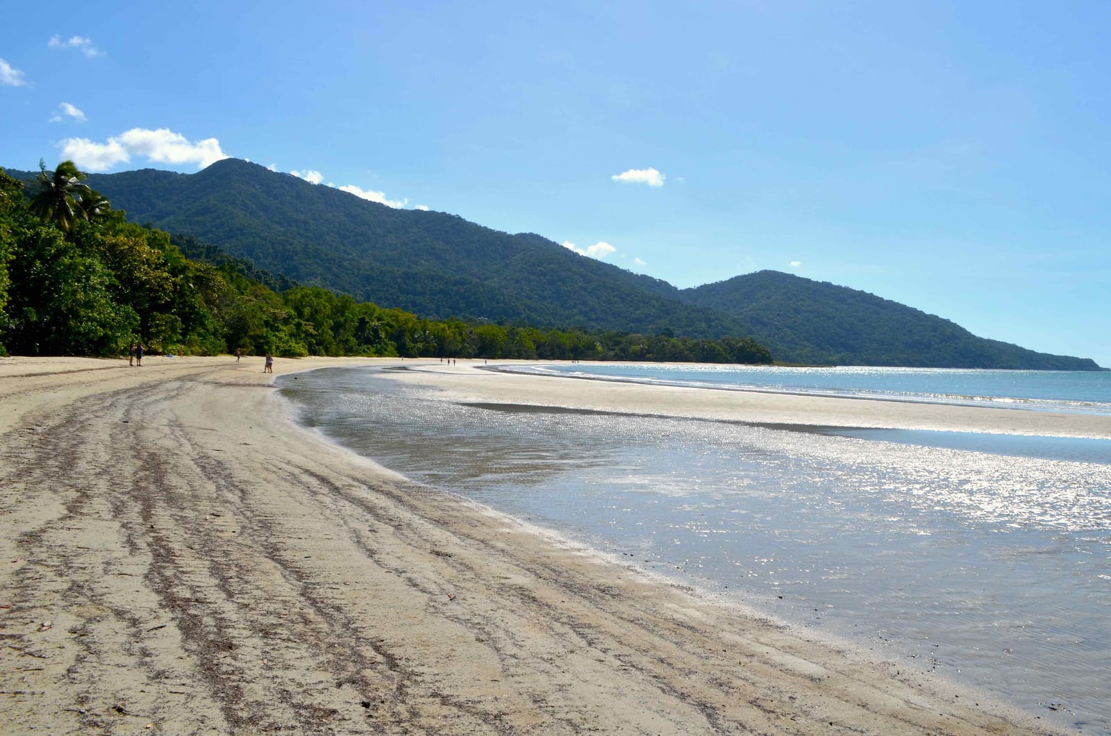 Australia: from Cairns to Cape Tribulation in just one day