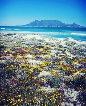 Cape Town: All the magnificent places you should visit!: photo 1