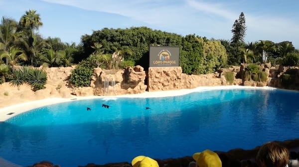 5 things to do in Tenerife: photo 1