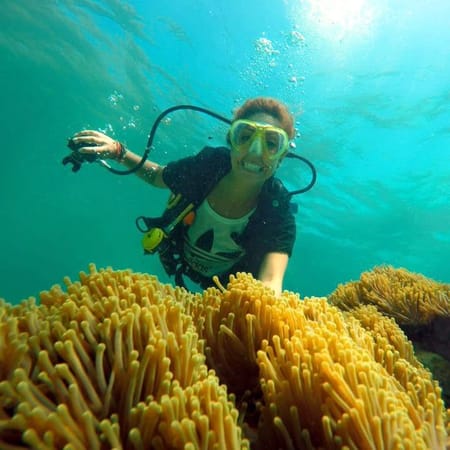 Welcome to Koh Tao a divers dream: photo 1