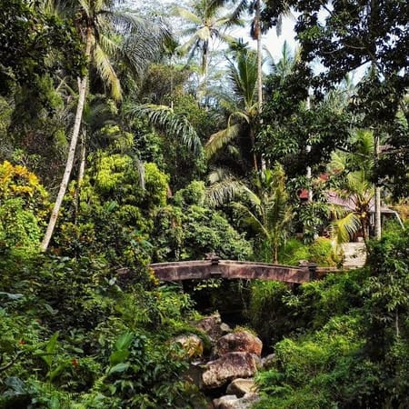 Bali : The Island Of The Gods: photo 2