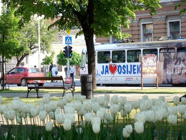 Osijek; a city with the most wondrous promenade in Croatia: photo 6