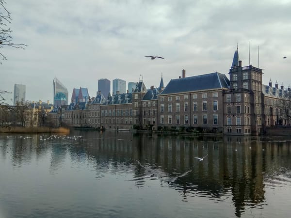 Top 5 cities to visit in the Netherlands: photo 12