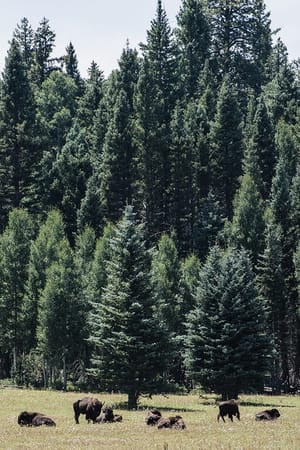 California - some real places to see: photo 3