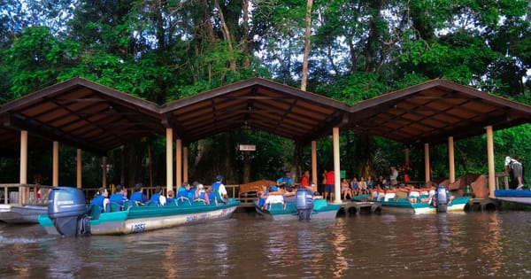 No roads, Tortuguero canals of Costa Rica: photo 2