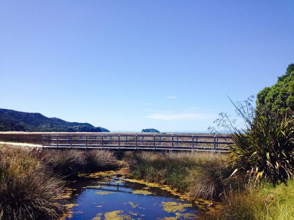 A Kiwi Experience on the South Island: photo 5