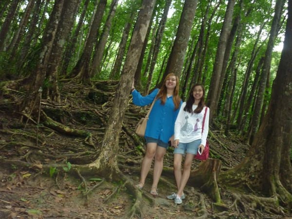 Bohol Countryside: Chocolate Hills & Tarsiers: photo 3